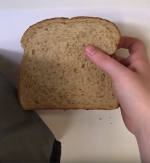 Sharing a Sandwich Using Math 300x325